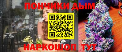 mdma Гатчина