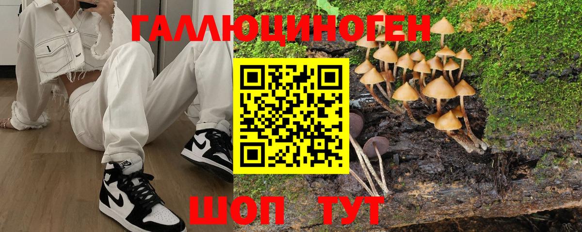 Галлюциногенные грибы Psilocybine cubensis  Вход с VPN  Трёхгорный  Псилоцибиновые грибы Psilocybine cubensis 